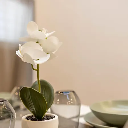 Wanderlust289 In Centro A Lägenhet